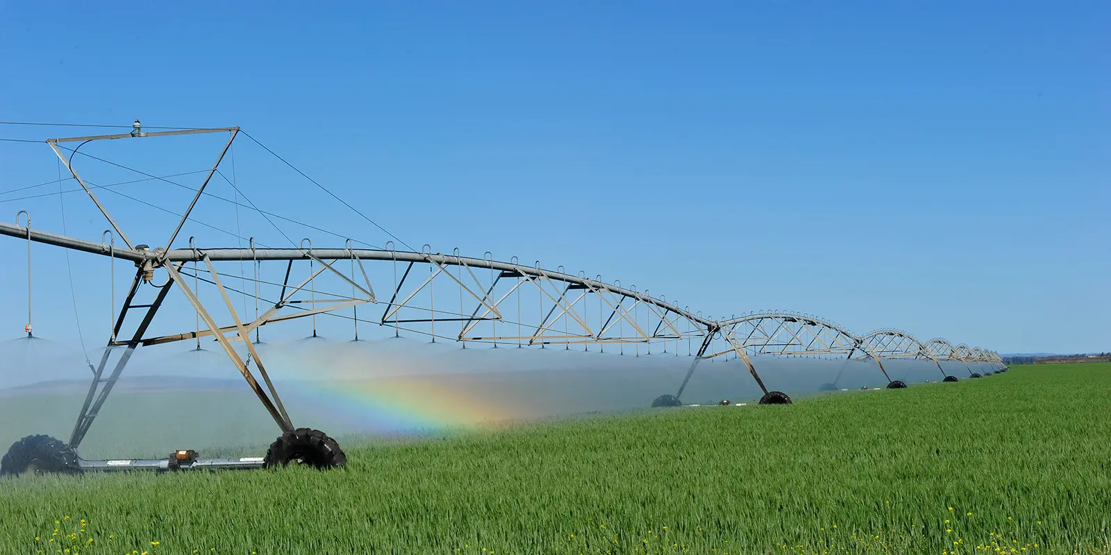 Handle your harvest from anywhere with GreenThumb Automation!