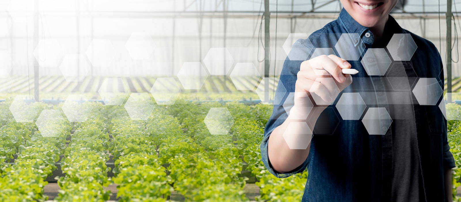 GreenThumb Automation for greenhouses and home gardens