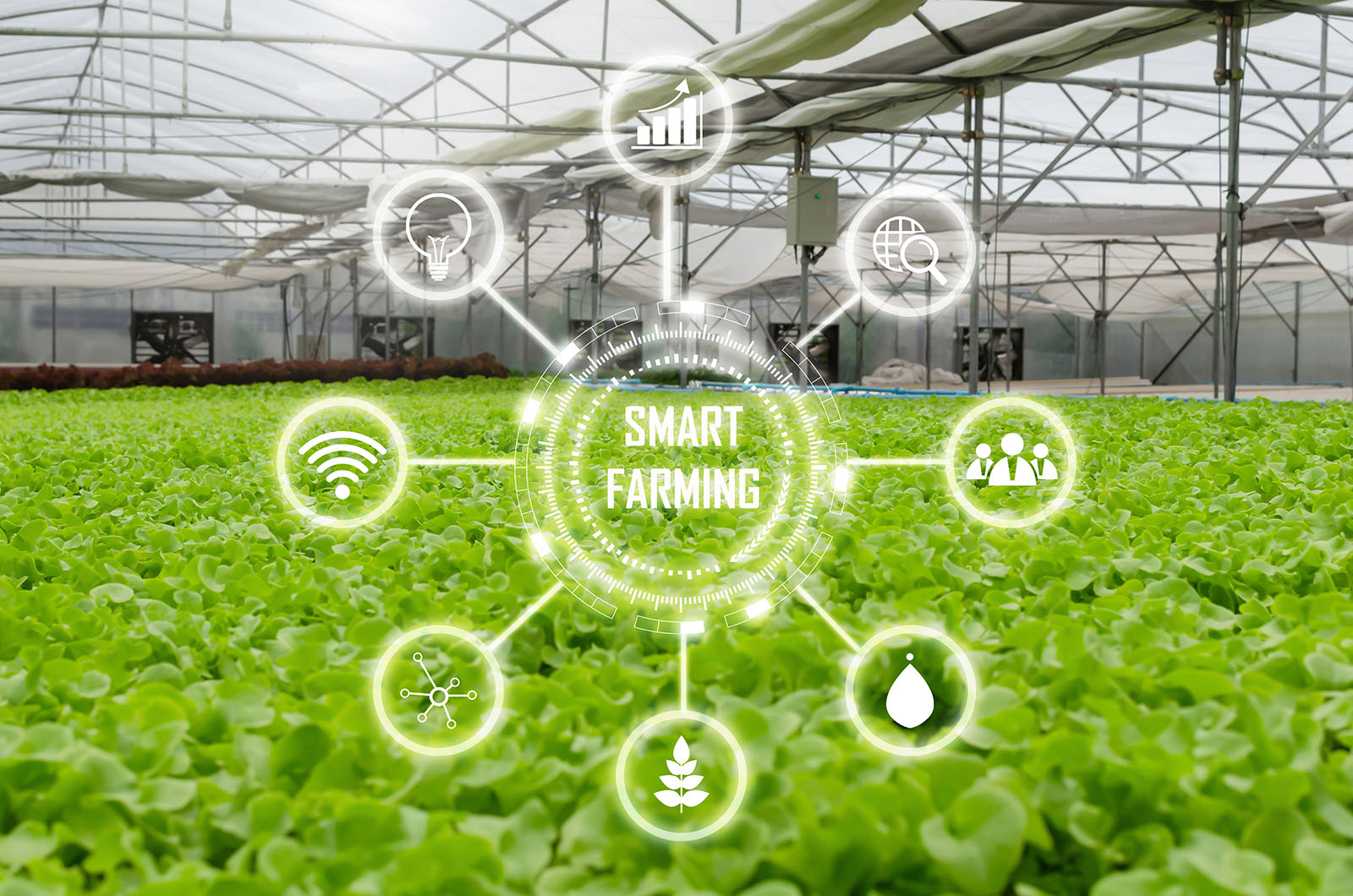 GreenThumb Automation smart farming