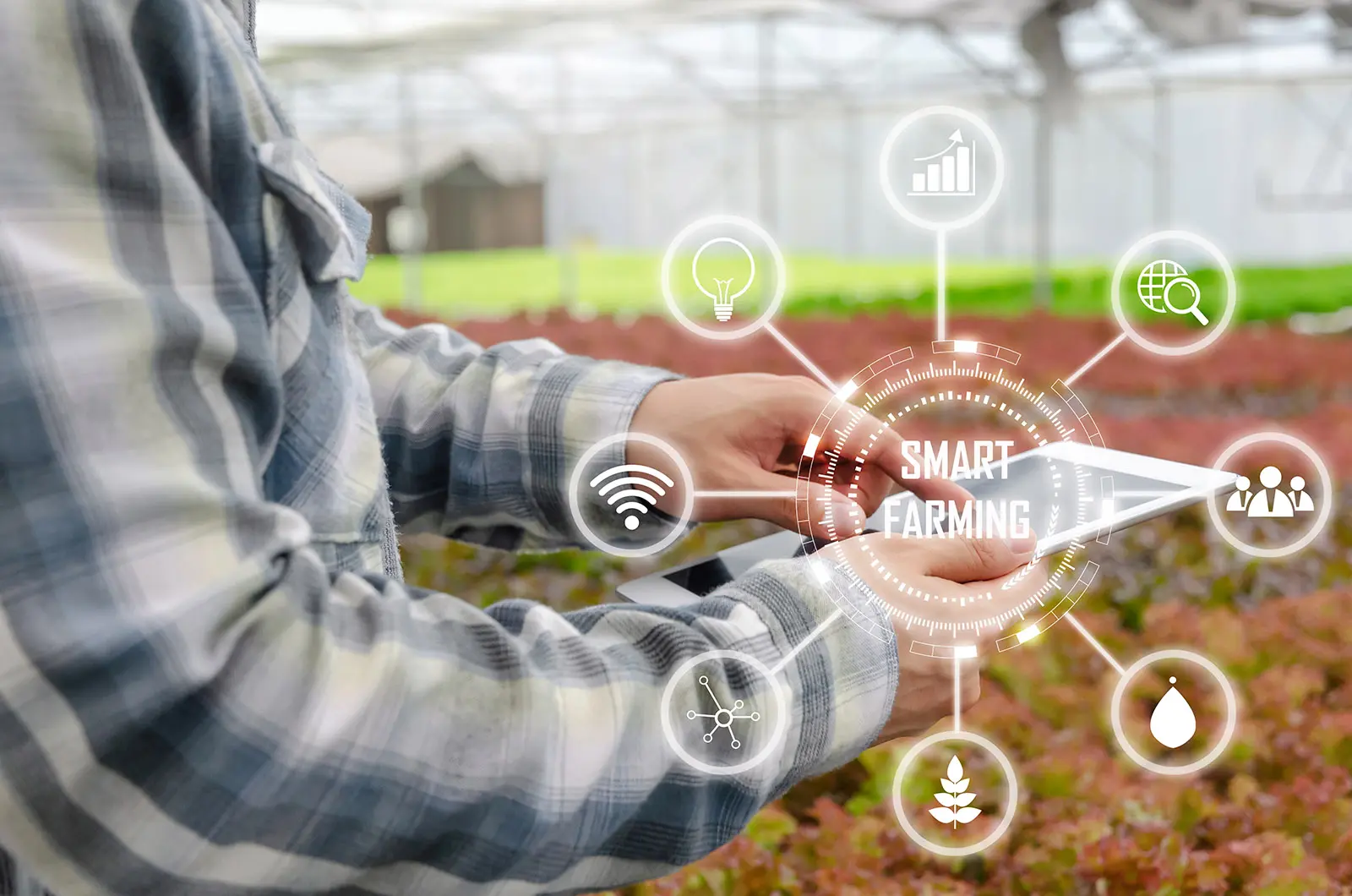 GreenThumb Automation smart farming