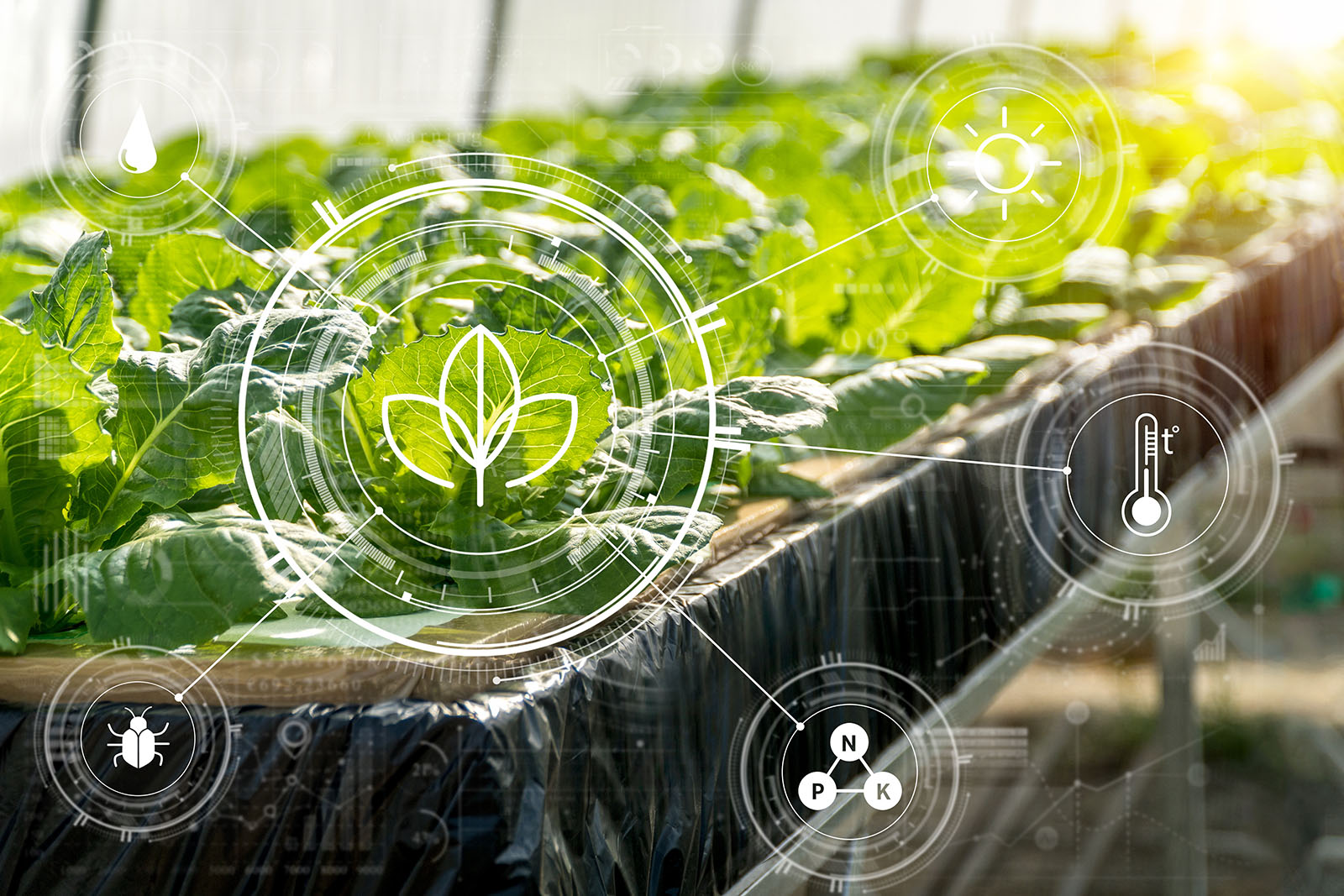 GreenThumb Automation smart farming