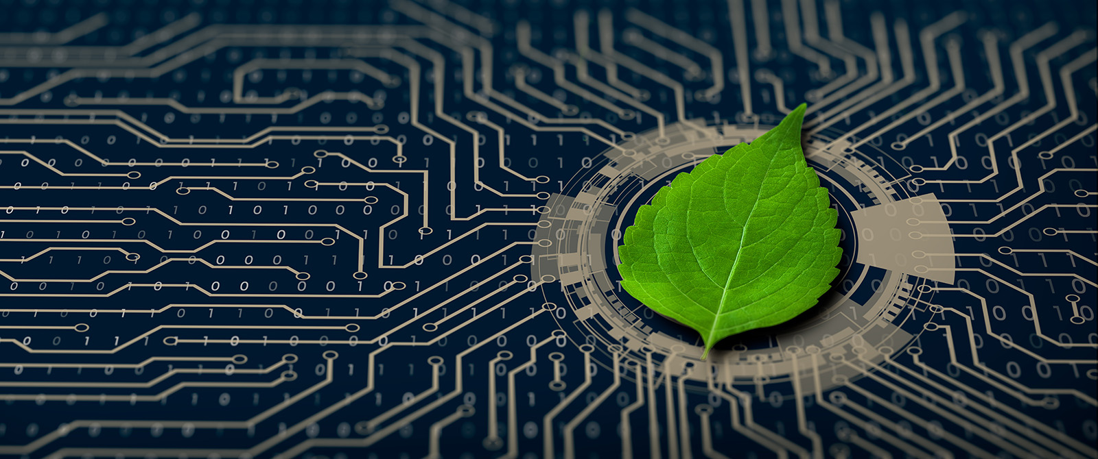GreenThumb Automation smart farming